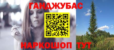 индика Гусиноозёрск