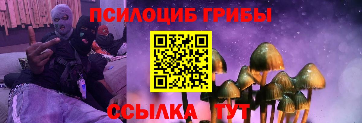 Галлюциногенные грибы GOLDEN TEACHER Трёхгорный